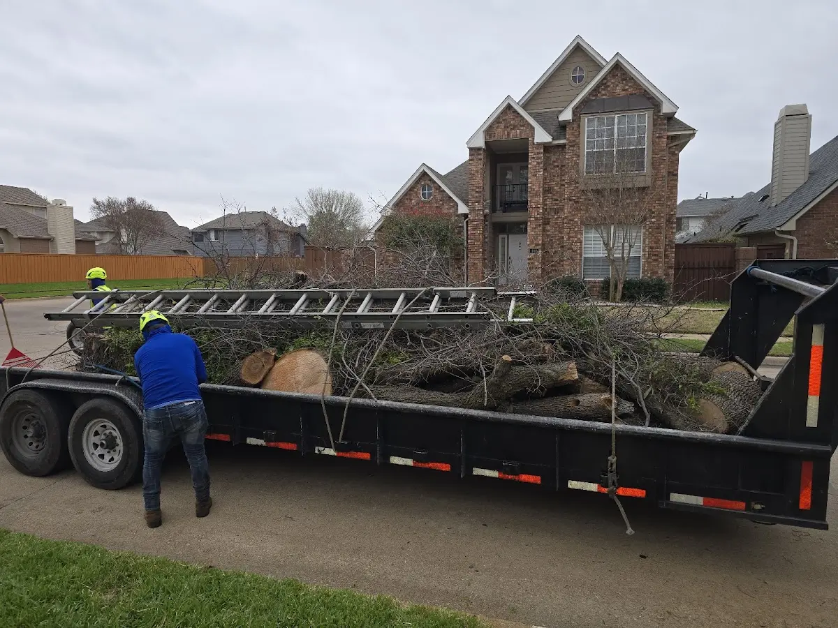Expert Tree Fertilization with proper safety equipment in Milbridge